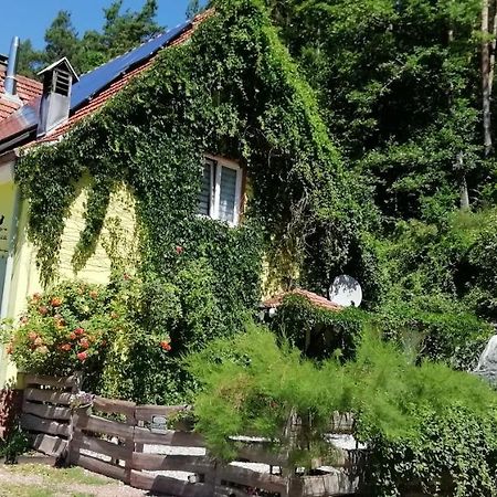 Villa Violeta Dambach Exterior foto