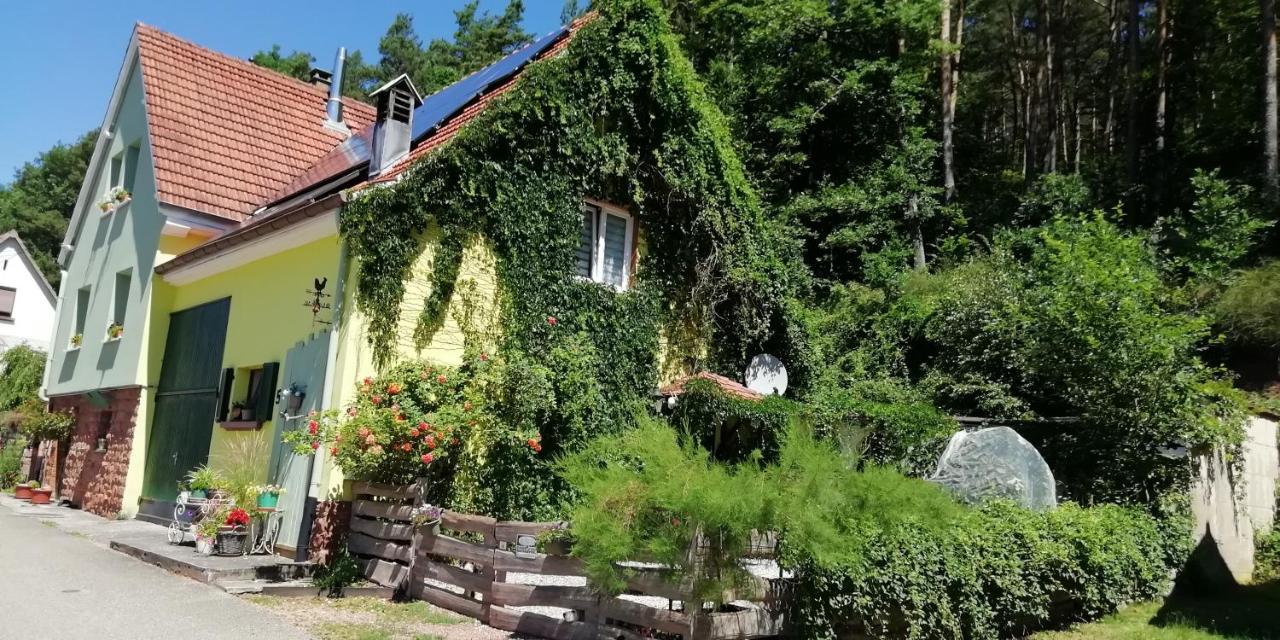 Villa Violeta Dambach Exterior foto
